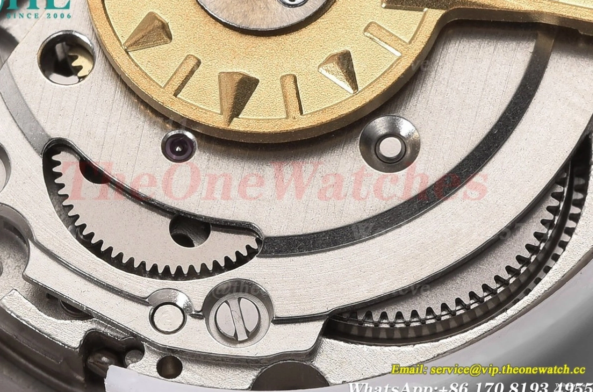 RU 41mm 4500V Brown Overseas MY8215 SS Dial GDF 0329
